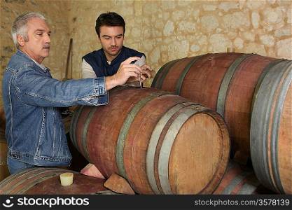Two men sampling wine in cellar