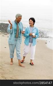 Two middle-aged women talking on beach