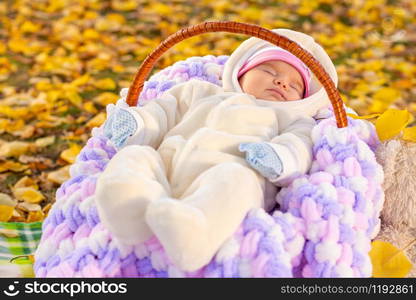 Two-month-old baby sleeps serenely in basket amid yellow foliage park