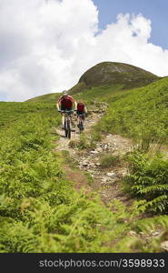 Two Mountainbikers on a Trail