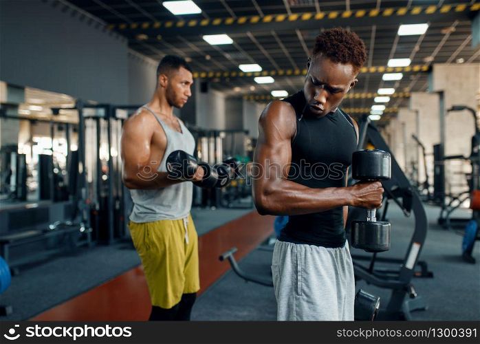 Two muscular athletes doing exercise with dumbbell on training in gym. Workout in sport club, healthy lifestyle