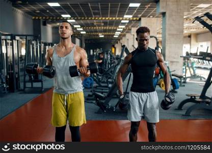 Two muscular men doing exercise with dumbbell on training in gym. Workout in sport club, healthy lifestyle. Two muscular men doing exercise with dumbbell