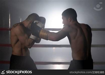 Two muscular mixed martial arts athletes fighting in the ring. High quality photography.. Two muscular mixed martial arts athletes fighting in the ring.