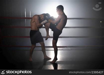 Two muscular mixed martial arts athletes fighting in the ring. High quality photography.. Two muscular mixed martial arts athletes fighting in the ring.