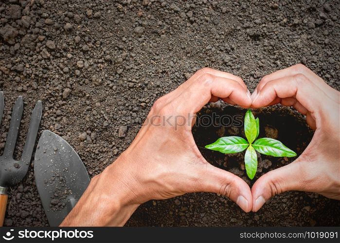 Two of the men making heart-shaped surrounding the seedlings are growing, ecology concept.