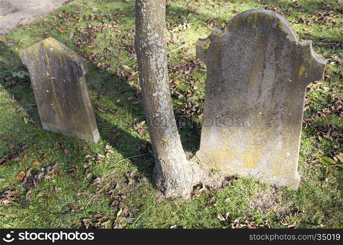 two old gravestones and trunk of tree on old cemetery in the fall