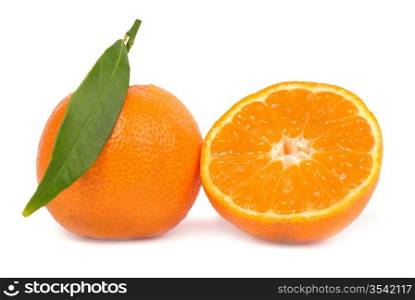 Two orange mandarins with green leaf isolated on white background