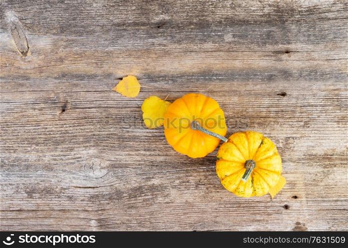 two orange raw pumpkins on old wooden textured table, top view. pumpkin on table