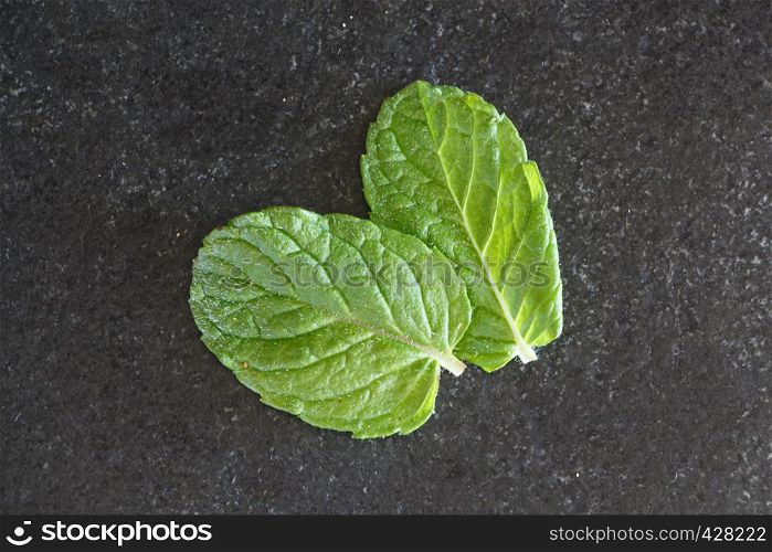 Two organic mint leaves on gray background