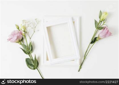 two painted frame with pink eustoma baby s breath flowers white background