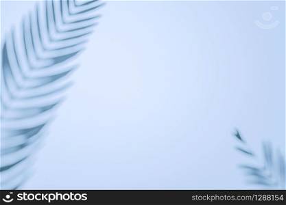 Two palm fronds casting shadows on a wall with copy space as a design template or tropical background in a full frame view. Minimal summer concept with copy space. Border arrangement
