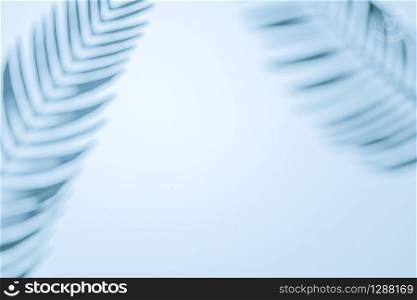 Two palm fronds casting shadows on a wall with copy space as a design template or tropical background in a full frame view. Border arrangement