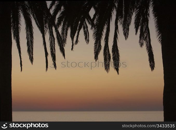 Two palm trees form a frame with an ocean and sunset in the background.