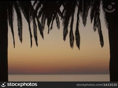 Two palm trees form a frame with an ocean and sunset in the background.