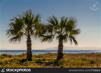 Two palm trees, Mediterranean Sea and islands in background.
