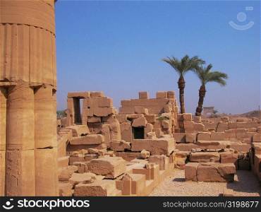 Two palm trees near a stone wall, Temples Of Karnak, Luxor, Egypt