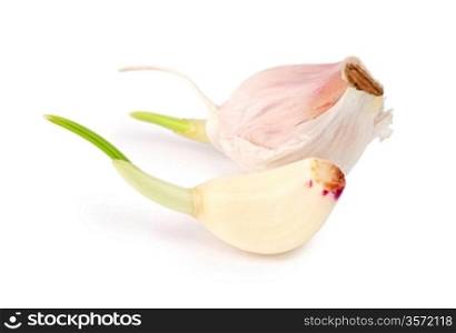 two part of garlic