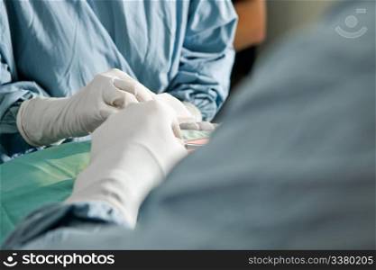 Two people in scrubs with a detail shot of their hands working in a surgery