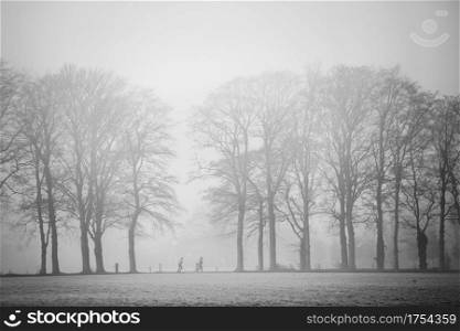 two people jogging between oak trees in morning fog near Utrecht in forest on Utrechtse Heuvelrug