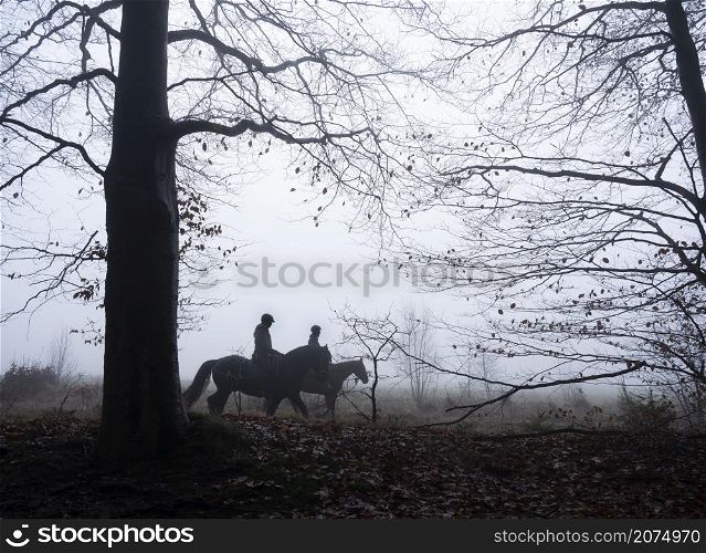 two people on horseback in misty winter forest near utrecht in the netherlands