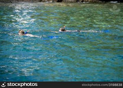 Two people snorkeling in the sea, Captain Cook&acute;s Monument, Kealakekua Bay, Kona Coast, Big Island, Hawaii islands, USA