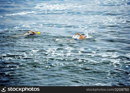 Two people swimming at the La Jolla Reefs, San Diego Bay, California, USA