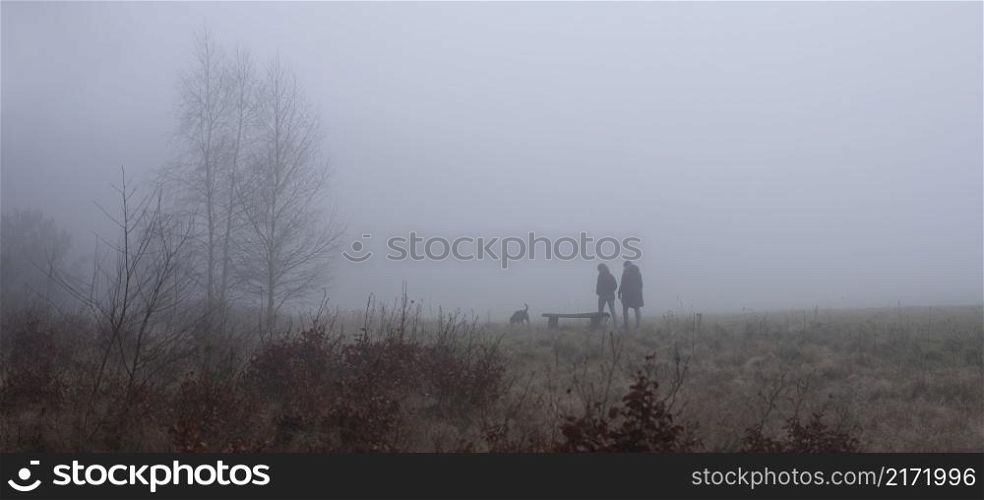 two people walk dog on misty field near utrecht in the netherlands