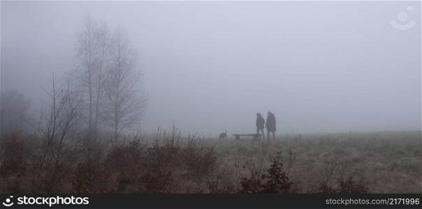 two people walk dog on misty field near utrecht in the netherlands