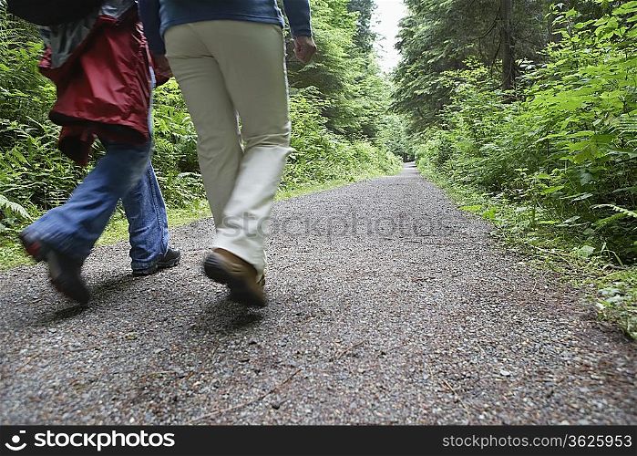Two people walking on forest trail, back view, low section