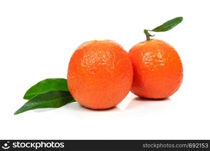 Two perfect orange or tangerine fresh fruitd with leaves on a white background in close-up