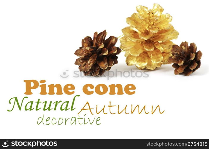 two pine cones and one golden cone over white background with shadow