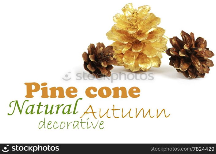 two pine cones and one golden cone over white background with shadow