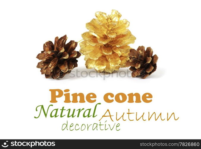 two pine cones and one golden cone over white background with shadow