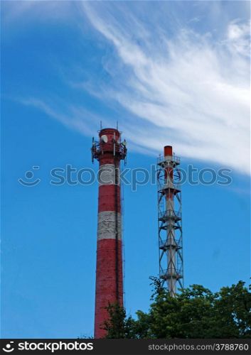 Two pipe plant on blue sky background