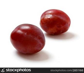 Two plums isolated on white