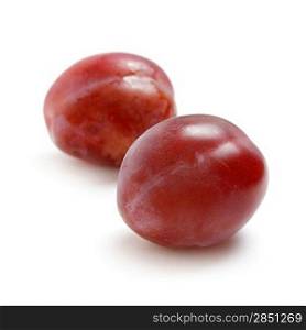 Two plums isolated on white