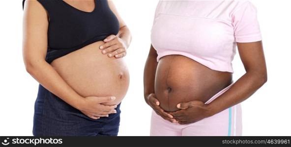 Two pregnant women stroking her belly isolated on a white background