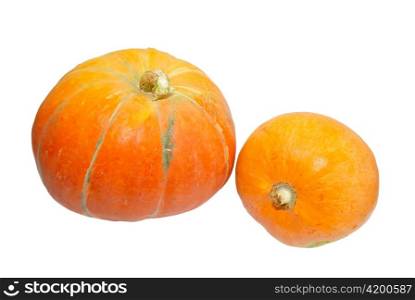 Two pumpkins isolated on white.