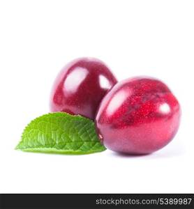 Two purple plums with leaves isolated on white
