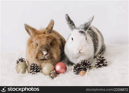 two rabbits with christmas decoration