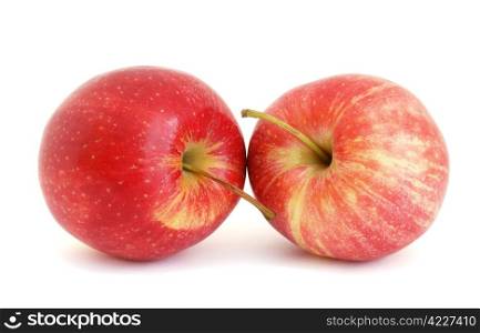 Two red apples isolated on white background. Red apples