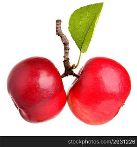 Two Red Apples with a green leaf isolated on a white background