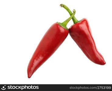 Two red bitter pepper. Isolated on white background