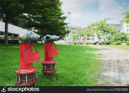 Two red fire hydrants in the lawn.