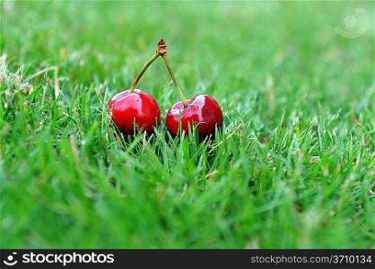 two red fresh sweet cherries on grass