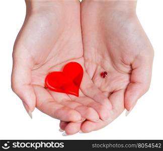 two red hearts in female handful isolated on white background