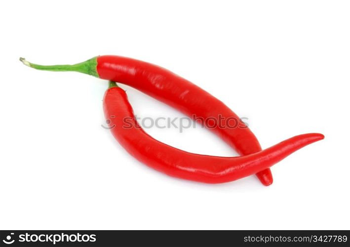 Two red hot chili peppers isolated on white background. Hot chili peppers