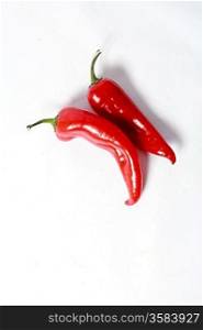 Two red peppers on white background