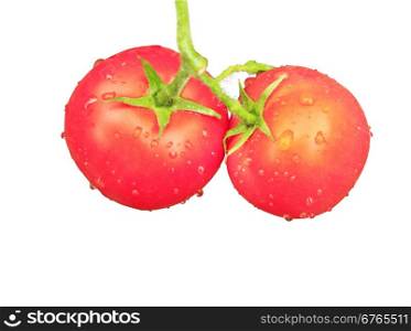 two red tomatoes isolated. pair of red tomatoes isolated on the white background