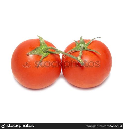 Two red tomatoes with water drops isolated on white background